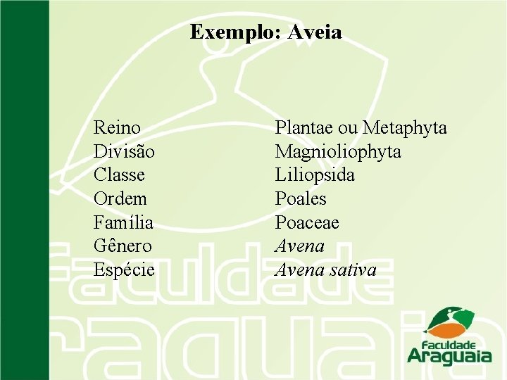 Exemplo: Aveia Reino Divisão Classe Ordem Família Gênero Espécie Plantae ou Metaphyta Magnioliophyta Liliopsida