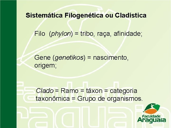 Sistemática Filogenética ou Cladística Filo (phylon) = tribo, raça, afinidade; Gene (genetikos) = nascimento,
