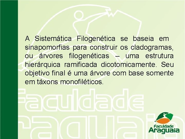 A Sistemática Filogenética se baseia em sinapomorfias para construir os cladogramas, ou árvores filogenéticas