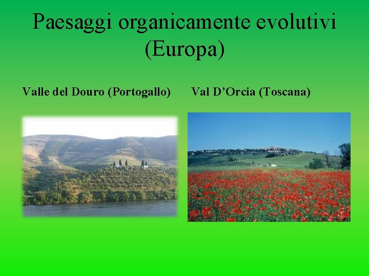 Paesaggi organicamente evolutivi (Europa) Valle del Douro (Portogallo) Val D’Orcia (Toscana) 