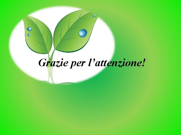 Grazie per l’attenzione! 