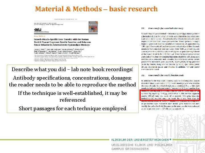 Material & Methods – basic research Describe what you did – lab note book