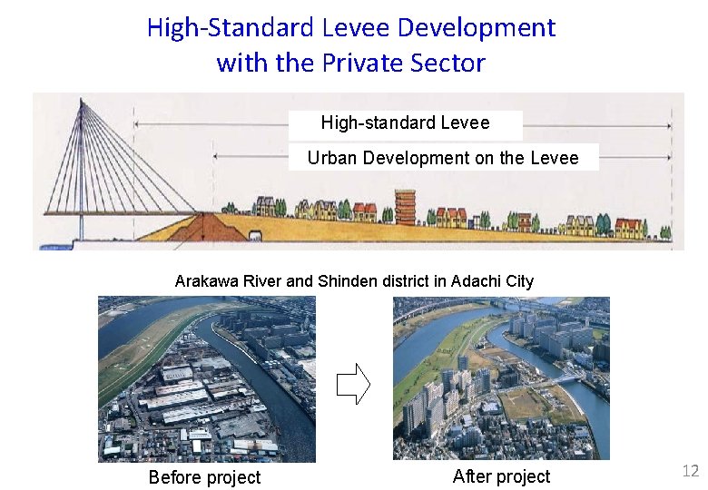 High-Standard Levee Development with the Private Sector High-standard Levee Urban Development on the Levee