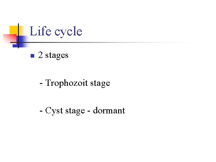 Life cycle n 2 stages - Trophozoit stage - Cyst stage - dormant Life cycle n 2 stages - Trophozoit stage - Cyst stage - dormant