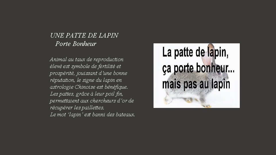 UNE PATTE DE LAPIN Porte Bonheur Animal au taux de reproduction élevé est symbole