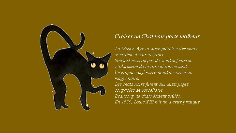 Croiser un Chat noir porte malheur Au Moyen-Age la surpopulation des chats contribue à