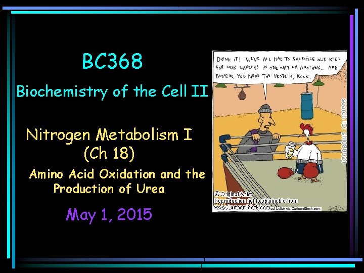 BC 368 Biochemistry of the Cell II Nitrogen Metabolism I (Ch 18) Amino Acid