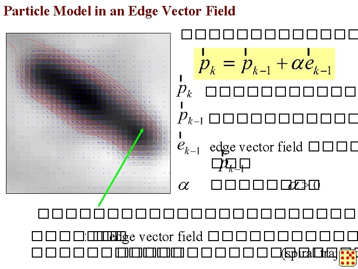 Particle Model in an Edge Vector Field ����������� edge vector field ���� a>0 ������������