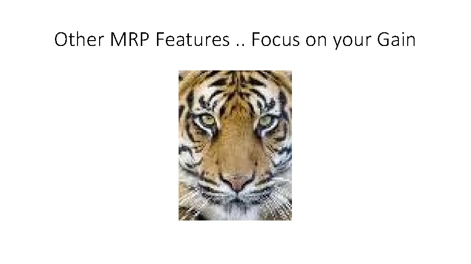 Other MRP Features. . Focus on your Gain 