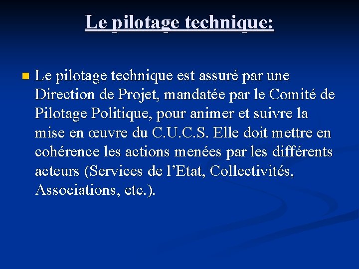 Le pilotage technique: n Le pilotage technique est assuré par une Direction de Projet,