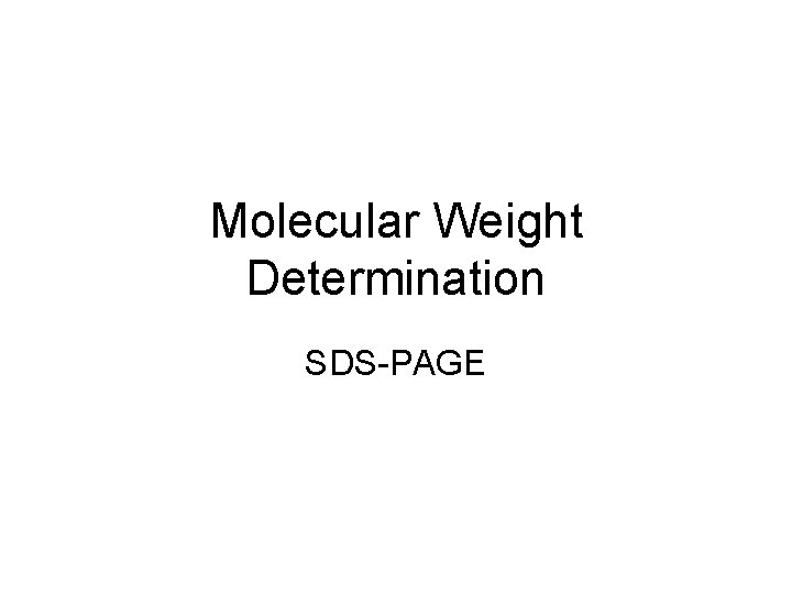Molecular Weight Determination SDS-PAGE 