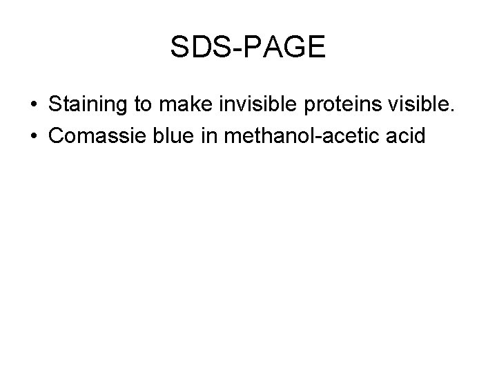 SDS-PAGE • Staining to make invisible proteins visible. • Comassie blue in methanol-acetic acid