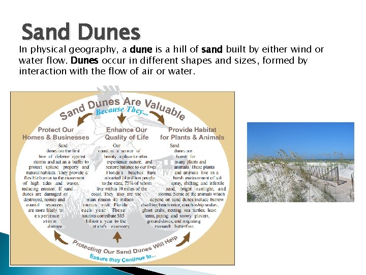 Sand Dunes In physical geography, a dune is a hill of sand built by