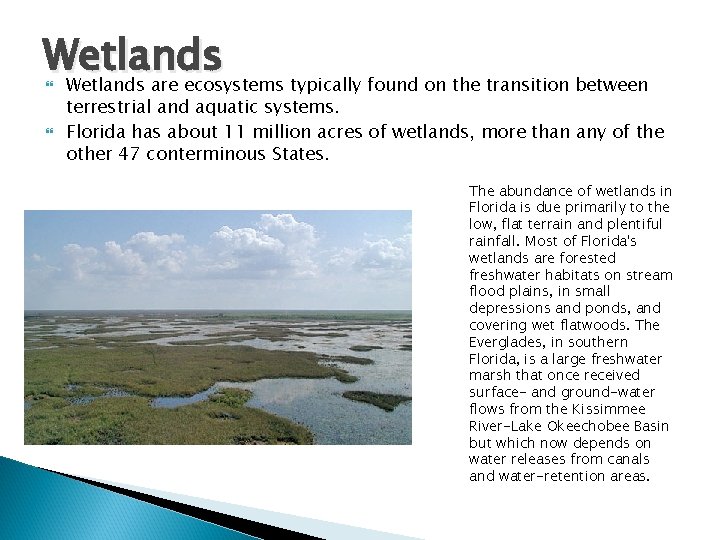 Wetlands are ecosystems typically found on the transition between terrestrial and aquatic systems. Florida