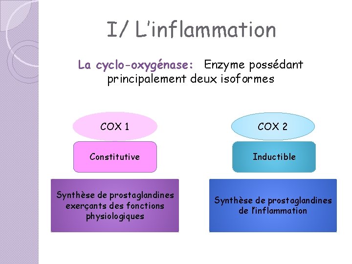 I/ L’inflammation La cyclo-oxygénase: Enzyme possédant principalement deux isoformes COX 1 COX 2 Constitutive I/ L’inflammation La cyclo-oxygénase: Enzyme possédant principalement deux isoformes COX 1 COX 2 Constitutive