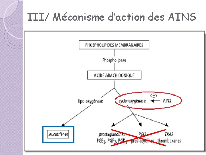 III/ Mécanisme d’action des AINS III/ Mécanisme d’action des AINS