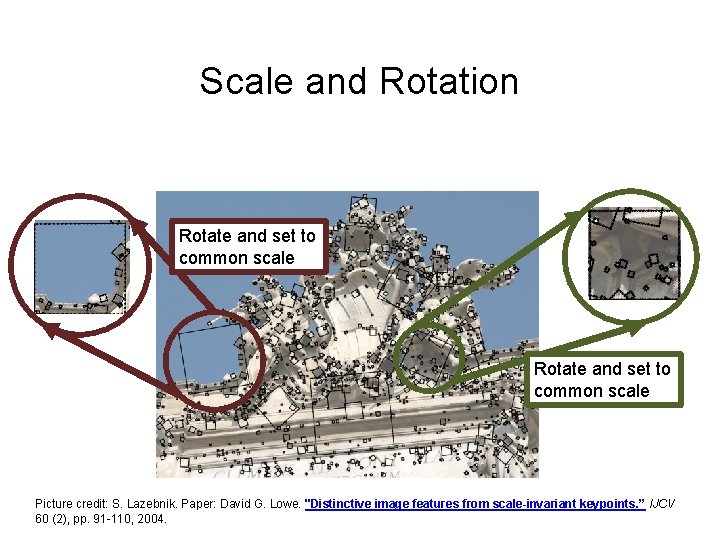 Scale and Rotation Rotate and set to common scale j Rotate and set to Scale and Rotation Rotate and set to common scale j Rotate and set to