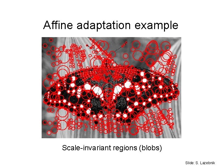 Affine adaptation example Scale-invariant regions (blobs) Slide: S. Lazebnik Affine adaptation example Scale-invariant regions (blobs) Slide: S. Lazebnik
