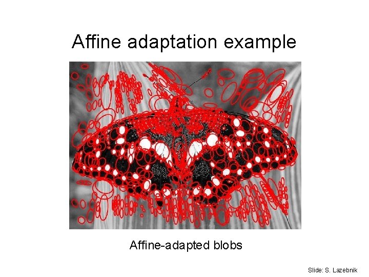 Affine adaptation example Affine-adapted blobs Slide: S. Lazebnik Affine adaptation example Affine-adapted blobs Slide: S. Lazebnik