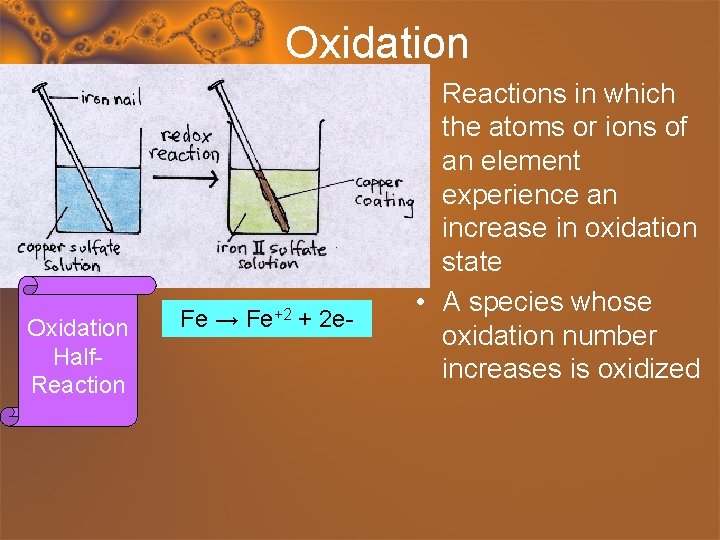 Oxidation Half. Reaction Fe → Fe+2 + 2 e- • Reactions in which the