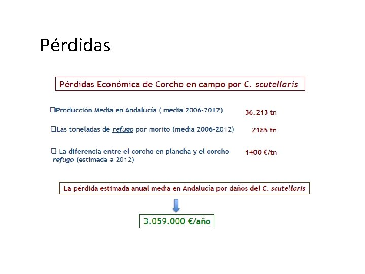 Pérdidas 