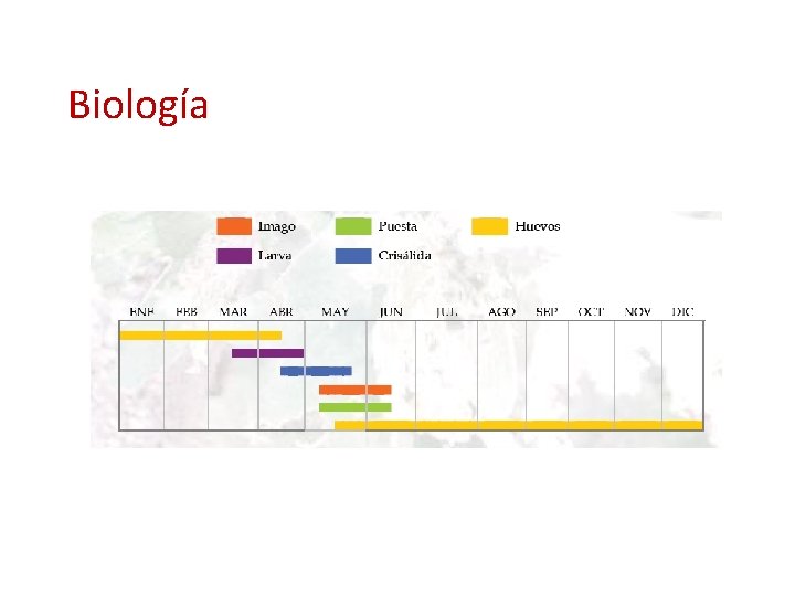 Biología 