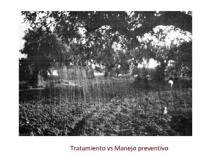Tratamiento vs Manejo preventivo 