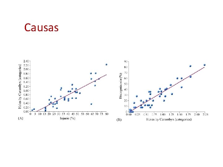 Causas 