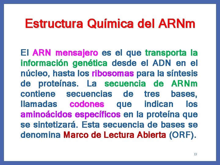 Estructura Química del ARNm El ARN mensajero es el que transporta la información genética