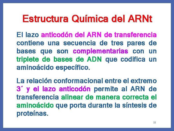 Estructura Química del ARNt El lazo anticodón del ARN de transferencia contiene una secuencia