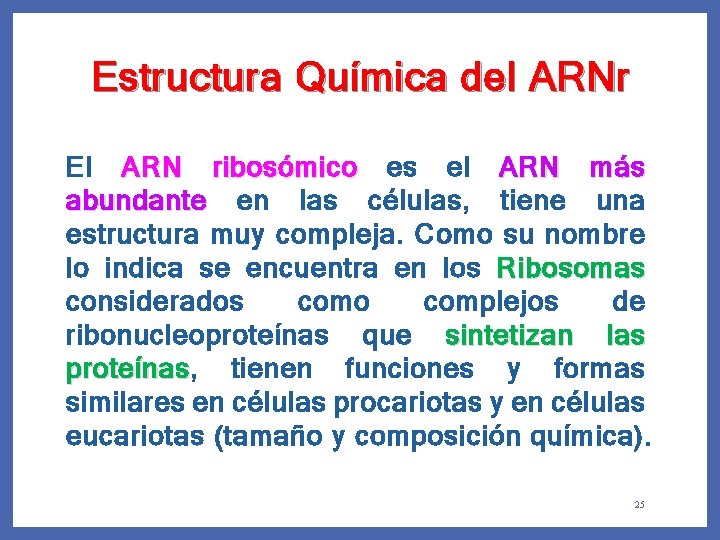 Estructura Química del ARNr El ARN ribosómico es el ARN más abundante en las