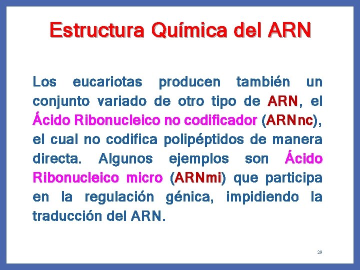 Estructura Química del ARN Los eucariotas producen también un conjunto variado de otro tipo