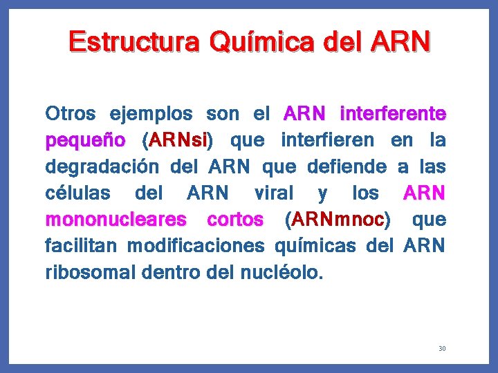 Estructura Química del ARN Otros ejemplos son el ARN interferente pequeño ( ARNsi) ARNsi