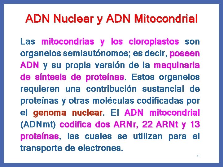 ADN Nuclear y ADN Mitocondrial Las mitocondrias y los cloroplastos son organelos semiautónomos; es