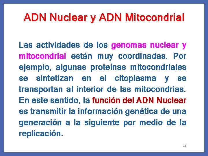 ADN Nuclear y ADN Mitocondrial Las actividades de los genomas nuclear y mitocondrial están