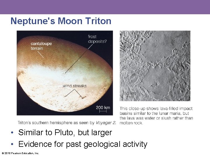 Neptune's Moon Triton • Similar to Pluto, but larger • Evidence for past geological