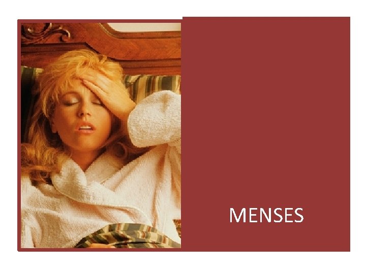 MENSES 