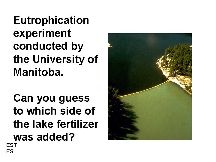 Eutrophication experiment conducted by the University of Manitoba. Can you guess to which side