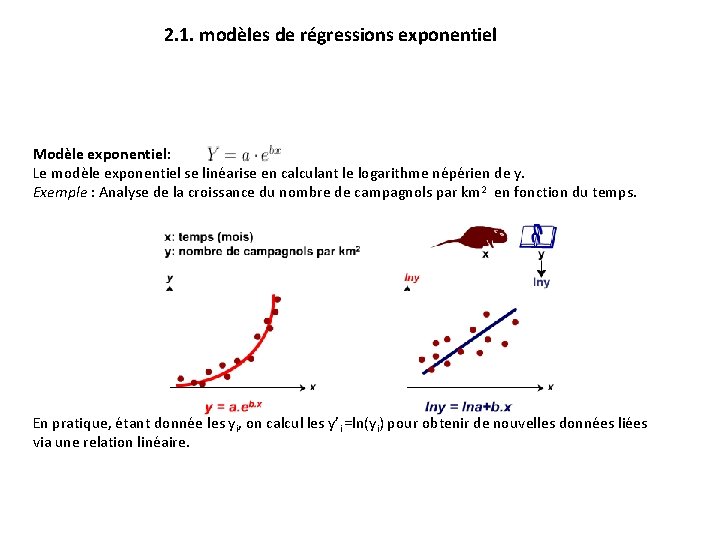 2. 1. modèles de régressions exponentiel Modèle exponentiel: Le modèle exponentiel se linéarise en