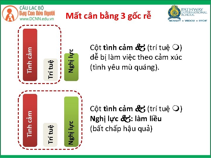 Nghị lực Trí tuệ Tình cảm Mất cân bằng 3 gốc rễ Cột tình