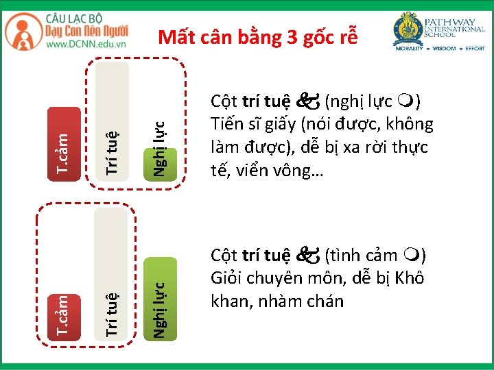 Nghị lực Trí tuệ T. cảm Mất cân bằng 3 gốc rễ Cột trí