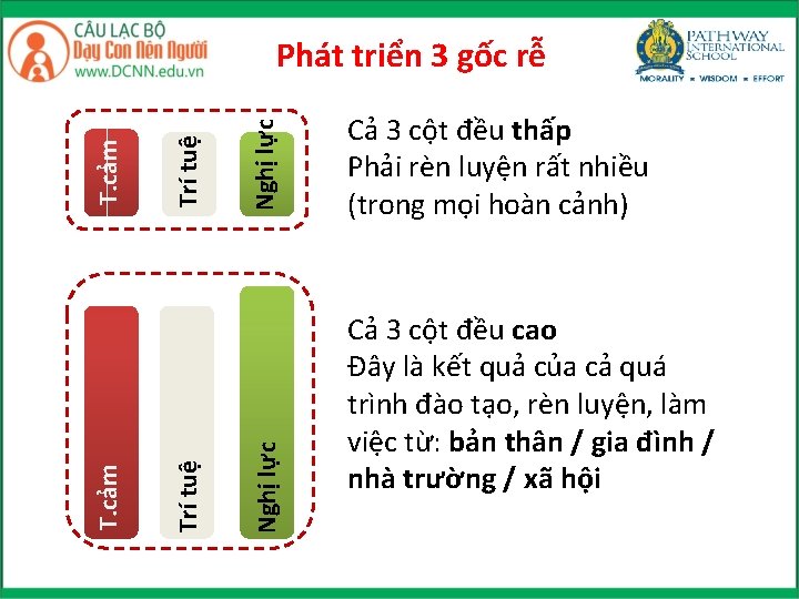 Nghị lực Trí tuệ T. cảm Phát triển 3 gốc rễ Cả 3 cột