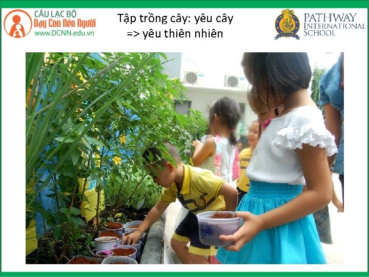 Tập trồng cây: yêu cây => yêu thiên nhiên 