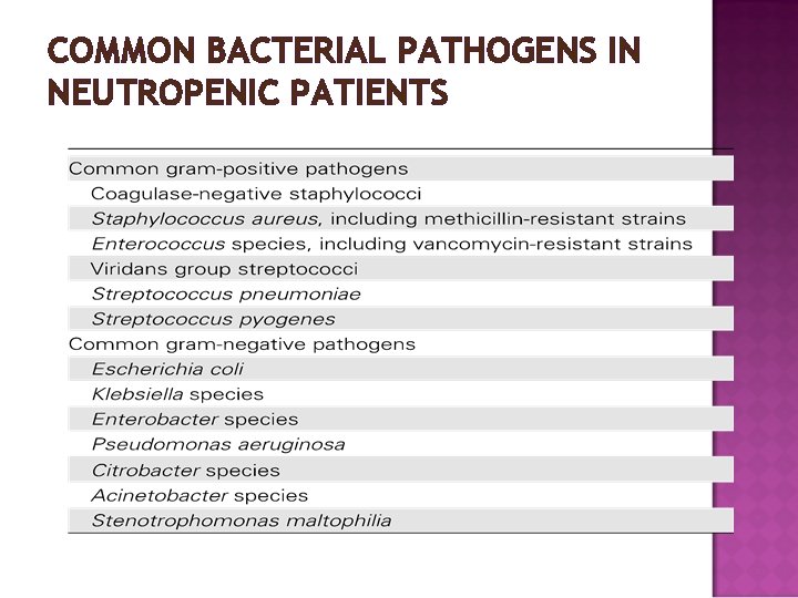 COMMON BACTERIAL PATHOGENS IN NEUTROPENIC PATIENTS 