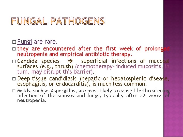 � Fungi are rare. they are encountered after the first week of prolonged neutropenia