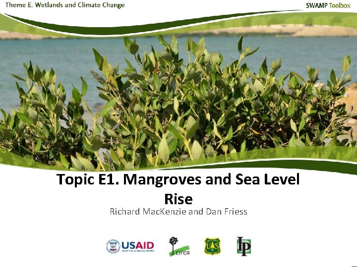 Topic E 1. Mangroves and Sea Level Rise Richard Mac. Kenzie and Dan Friess