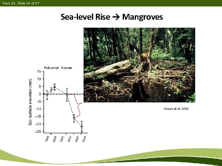 Topic E 1. Slide 14 of 27 Sea-level Rise → Mangroves Krauss et al.