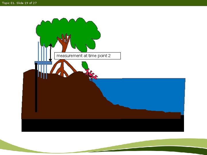 Topic E 1. Slide 19 of 27 measurement at time point 2 