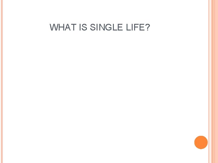 WHAT IS SINGLE LIFE? 