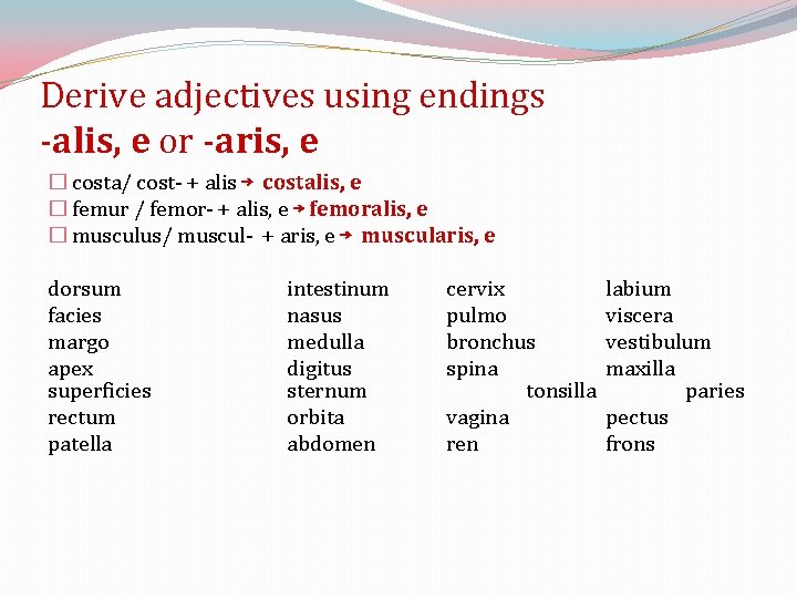 Derive adjectives using endings -alis, e or -aris, e � costa/ cost- + alis